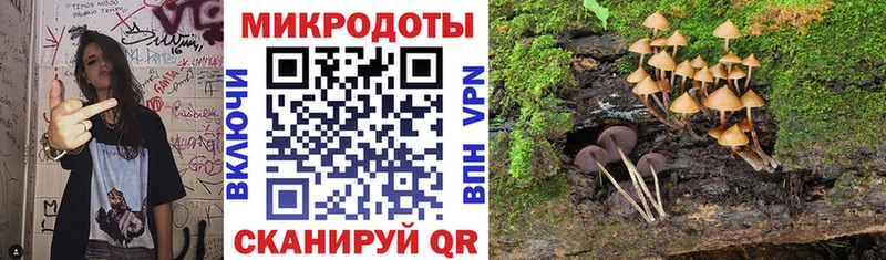 Псилоцибиновые грибы Magic Shrooms  KRAKEN ссылки  Котельники 
